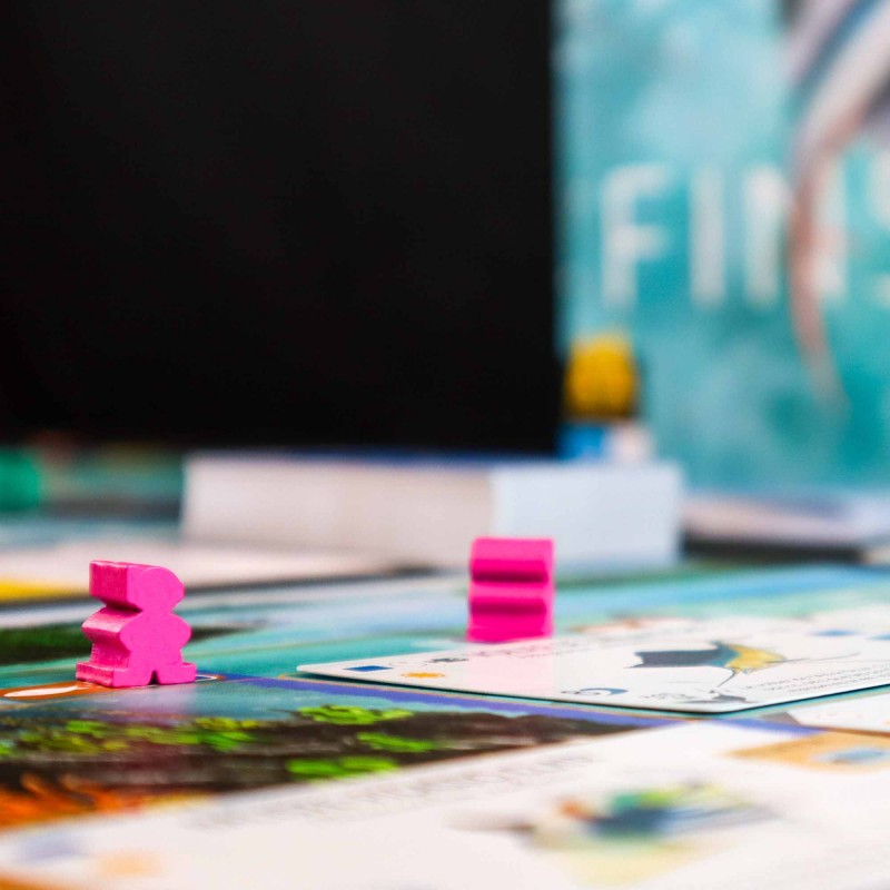 Finspan